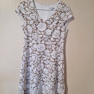 Sandra Darren White and Brown Lace Mini Dress